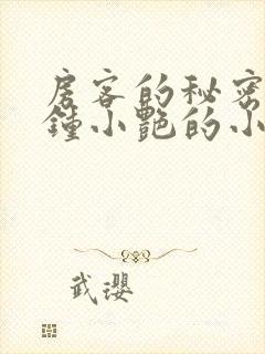 房客的秘密陈海钟小艳的小说