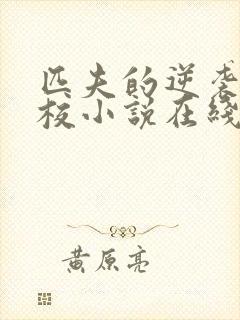 匹夫的逆袭骁骑校小说在线阅读全文免费