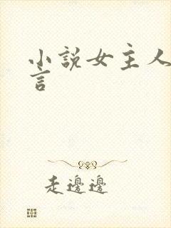小说女主人林辛言