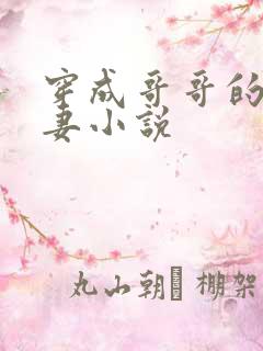 穿成哥哥的未婚妻小说