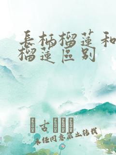 长柄榴莲和金枕榴莲区别