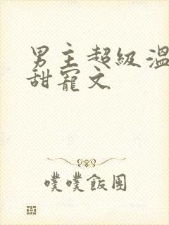 男主超级温柔的甜宠文