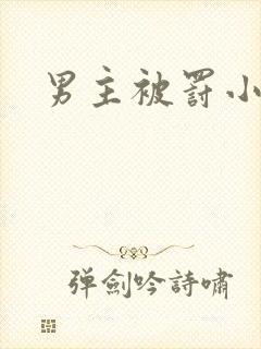 男主被罚小说