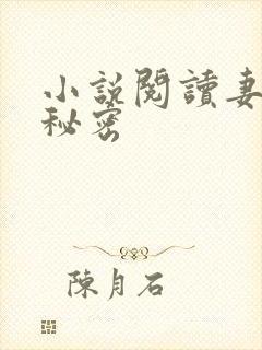 小说阅读妻子的秘密