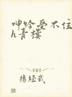 呻吟受不住女尊h青楼