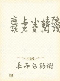 恋上小姨陈成小说免费阅读全文在线阅读