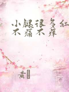 小腿很多红点点不痛不痒