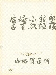 病娇小说双男主占有欲极强