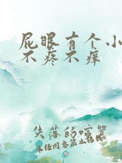 屁眼有个小疙瘩不疼不痒