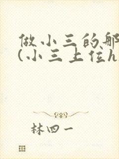 做小三的那几年(小三上位h)