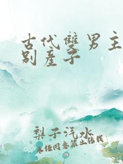 古代双男主双性别产子