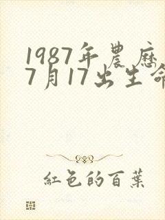1987年农历7月17出生命运