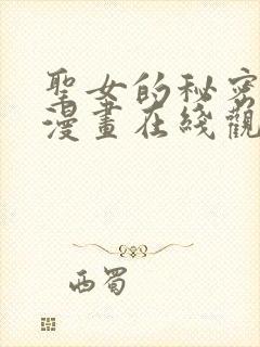 圣女的秘密之夜漫画在线观看免费全集