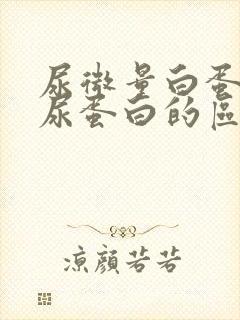 尿微量白蛋白和尿蛋白的区别