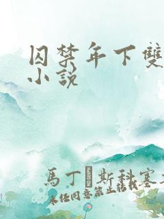 囚禁年下双男主小说