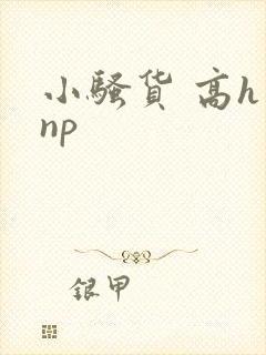 小骚货 高h np