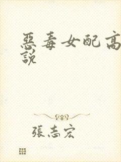 恶毒女配高h小说