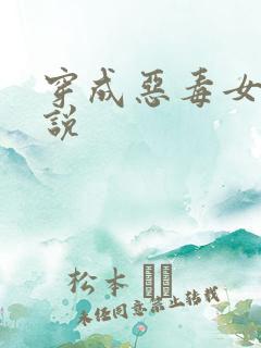 穿成恶毒女配小说