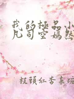 我的极品小姨叶凡司空嫣然