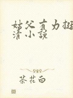 姑父有力挺送苏清小说