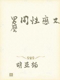 男同性恋又叫什么