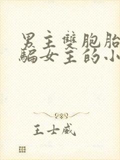 男主双胞胎兄弟骗女主的小说