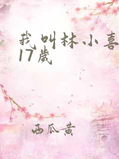 我叫林小喜今年17岁