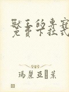 兽王的专宠漫画免费下拉式六漫画