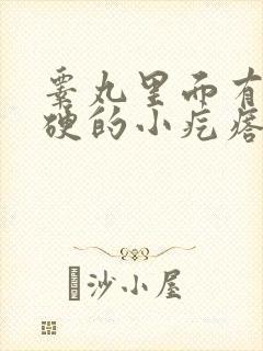 睾丸里面有个硬硬的小疙瘩不疼不痒