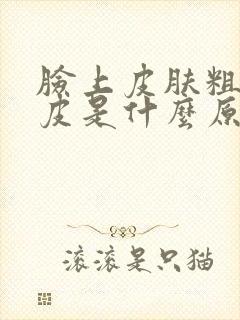 脸上皮肤粗糙脱皮是什么原因