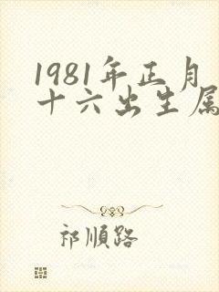 1981年正月十六出生属鸡的命运