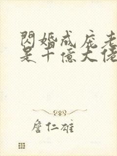 闪婚成庞老公竞是千亿大佬