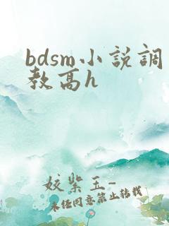 bdsm小说调教高h