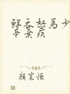 鲜衣怒马少年时辛弃疾