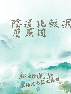 阴道比较湿是什么原因