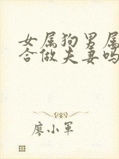 女属狗男属马适合做夫妻吗