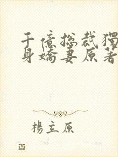 千亿总裁独宠替身娇妻原著