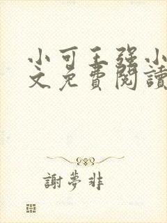 小可王强小说全文免费阅读