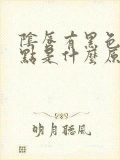 阴唇有黑色的斑点是什么原因