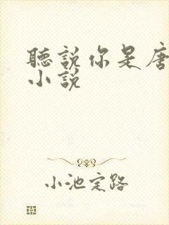 听说你是唐小姐小说