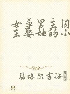 女尊男主囚禁女主娶她的小说