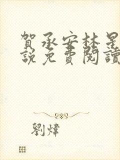 贺承安林星洛小说免费阅读最新章节