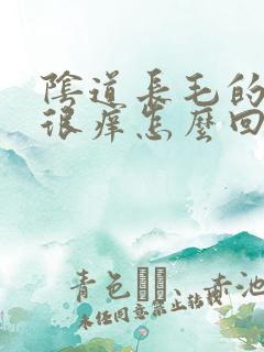 阴道长毛的地方很痒怎么回事