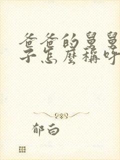 爸爸的舅舅的儿子怎么称呼