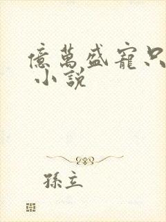 亿万盛宠只为你 小说