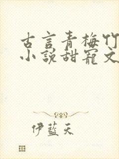 古言青梅竹马的小说甜宠文