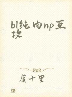 bl纯肉np互攻
