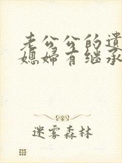 老公公的遗产儿媳妇有继承权吗?