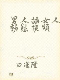 男人插女人bb动态视频