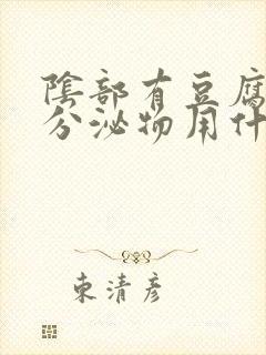 阴部有豆腐渣样分泌物用什么药